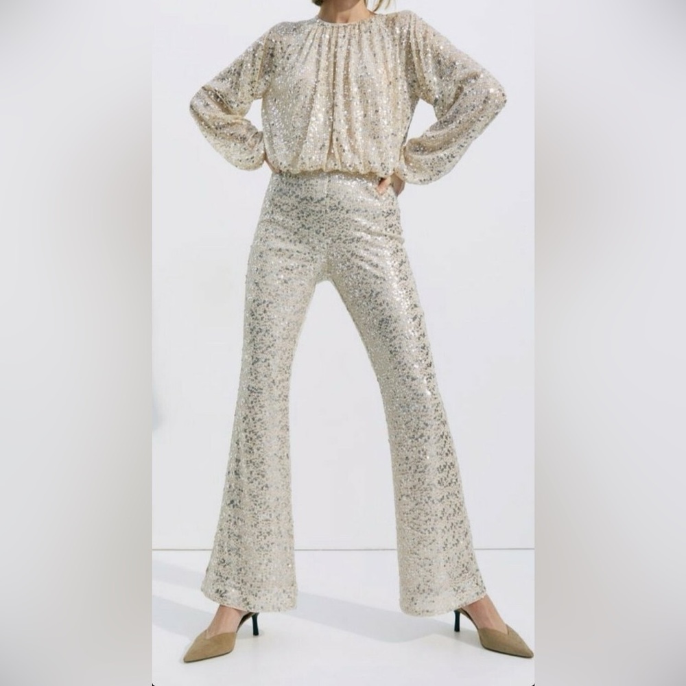 H&M Lined Sequin Flare Pants